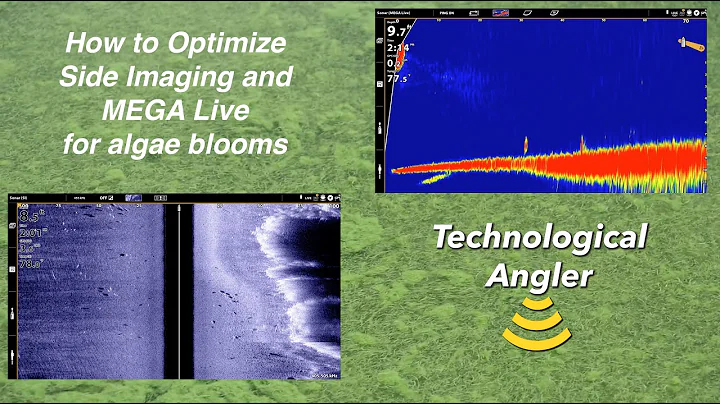 How to adjust Humminbird Side Imaging and MEGA Live for algae blooms – The Technological Angler