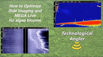 How to adjust Humminbird Side Imaging and MEGA Live for algae blooms – The Technological Angler