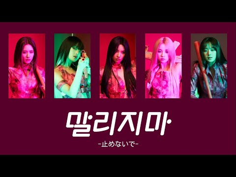 말리지마(止めないで)/(G)I-DLE【和訳】