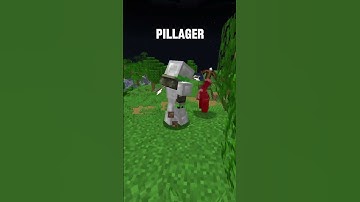 How to always find the last pillager of a raid...