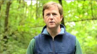 Forest Park Conservancy Stewardship Program