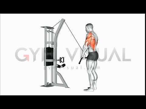 Cable Straight Arm Pulldown