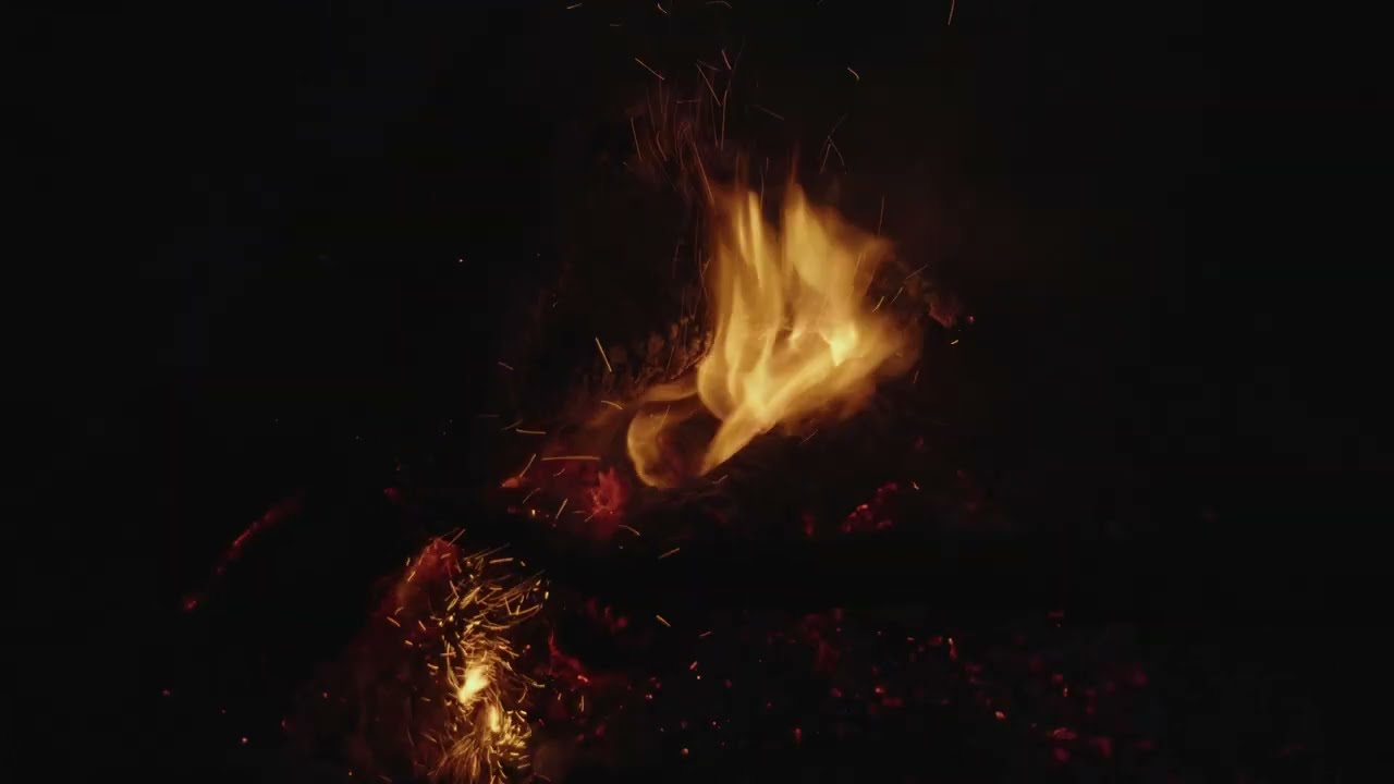 FOC