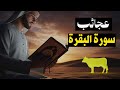 عجائب سورة البقرة أحمد الصابوني