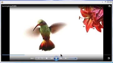 Best Consignment Shop Software Windows Configuration