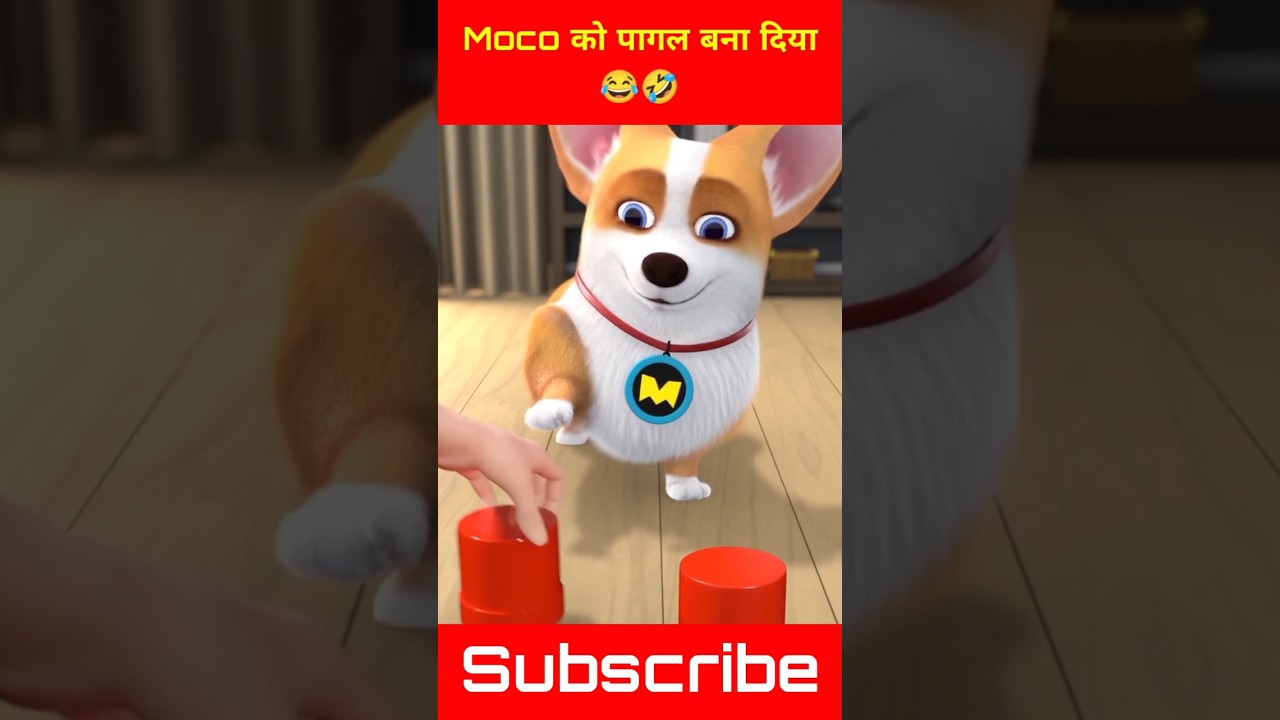 Made Moco crazy 😂🤣 | Moco Dog Funny Shorts Video