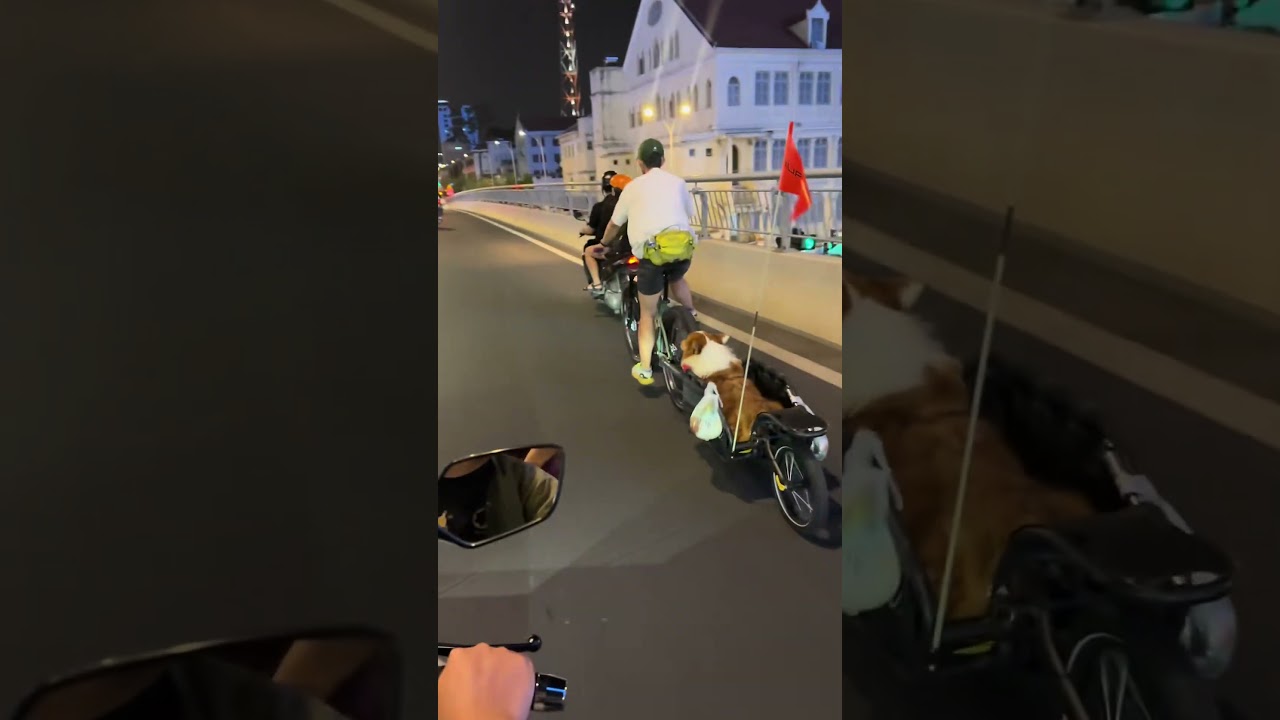 Живёт полной жизнью.. 😊