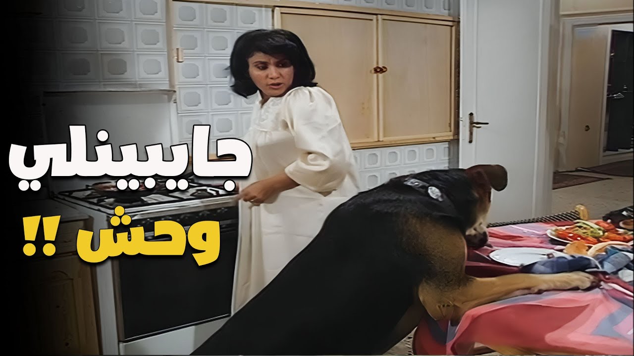 لما يكون عندك فوبيا من الكلاب وتلاقي كلب في بيتك 😂😂