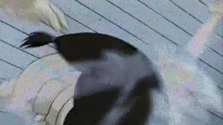 The chemicals react-naruto amv