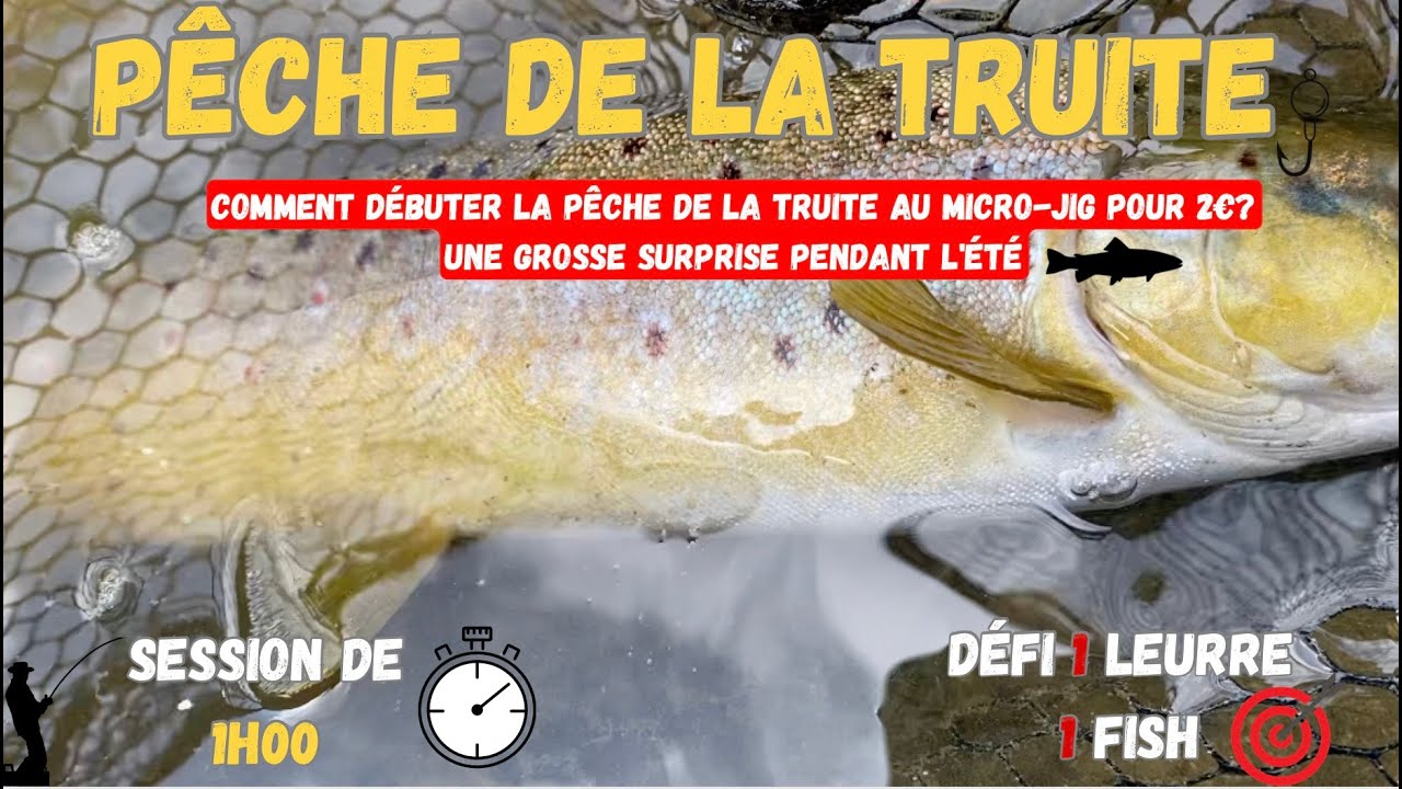 Comment débuter la pêche de la truite au micro-jig pour  2€? Une grosse surprise pendant l'été