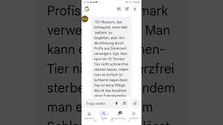 Knochenjagd statt Erlösung für Wal Timmy. Palliativ Lüge von Till Backhaus u. Meeresmuseum Stralsund