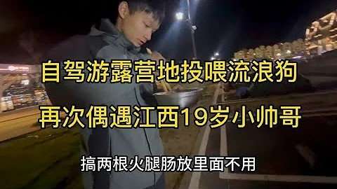 自驾游露营地投喂流浪狗，再次偶遇跨越10省摩旅的江西19岁小帅哥【沫沫自驾游】 - 天天要闻