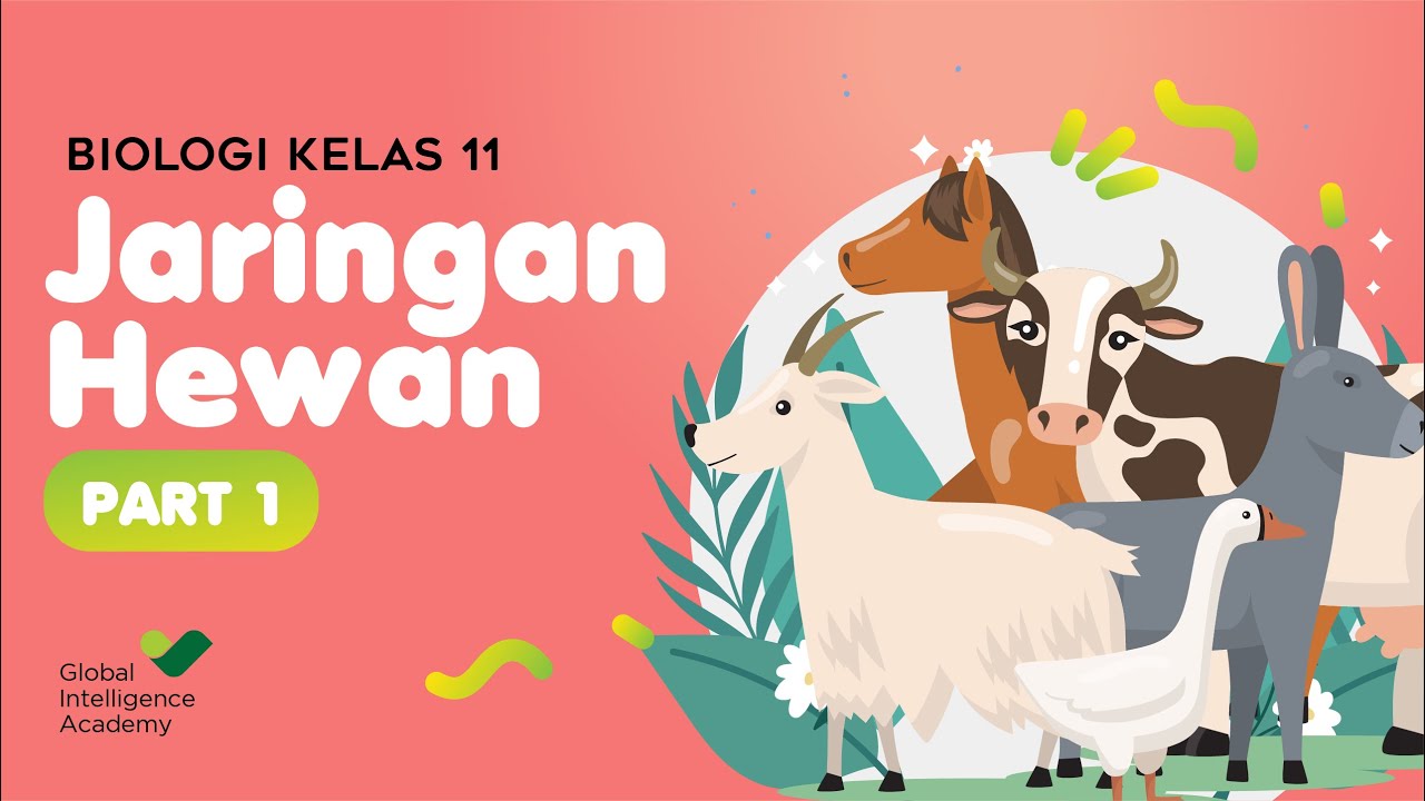 BIOLOGI Kelas 11 - Jaringan Hewan (Part 1) | GIA Academy
