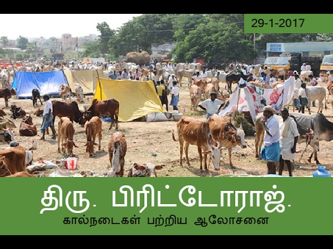 கால்நடைகள் பற்றிய ஆலோசனை | Advice on Livestock