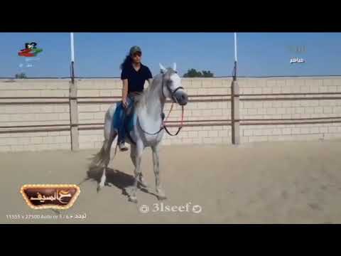 لغة الجسد مع المدربة هدى القناعي
