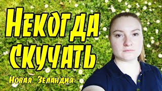 # 175 Влог - Некогда скучать / Новая Зеландия / Окленд