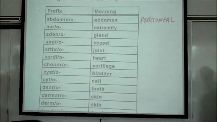 INTRO TO HUMAN ANATOMY PART 2 by Professor Fink