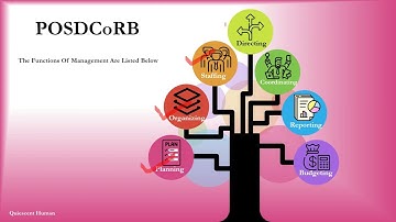 Functions of Management? Explanation with examples!