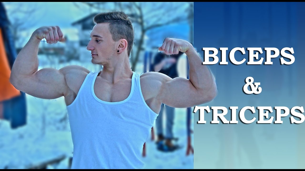 Biceps & Triceps Calisthenics Exercises & Routine (Arms)