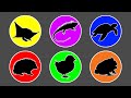 Pets: Chick, Pacman Frog, Hedgehog, Turtle, Red Iguana, Sugar Glider