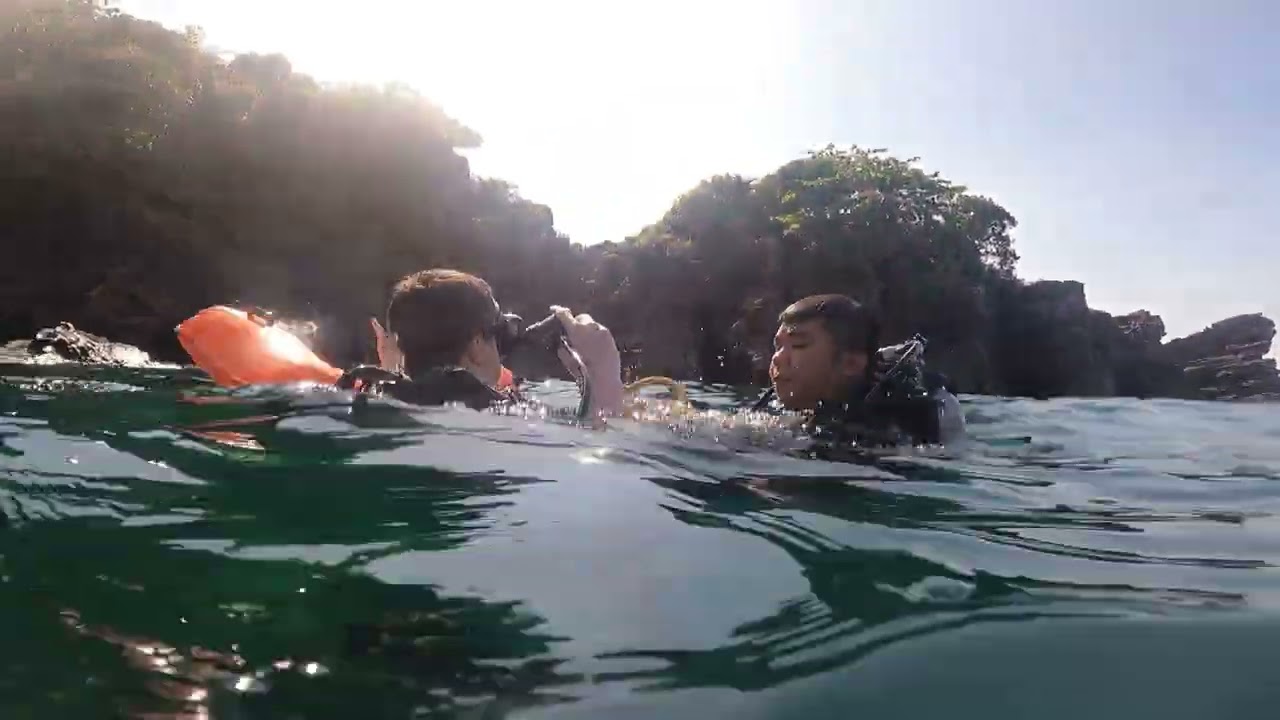 Try dive private tour by speedboat