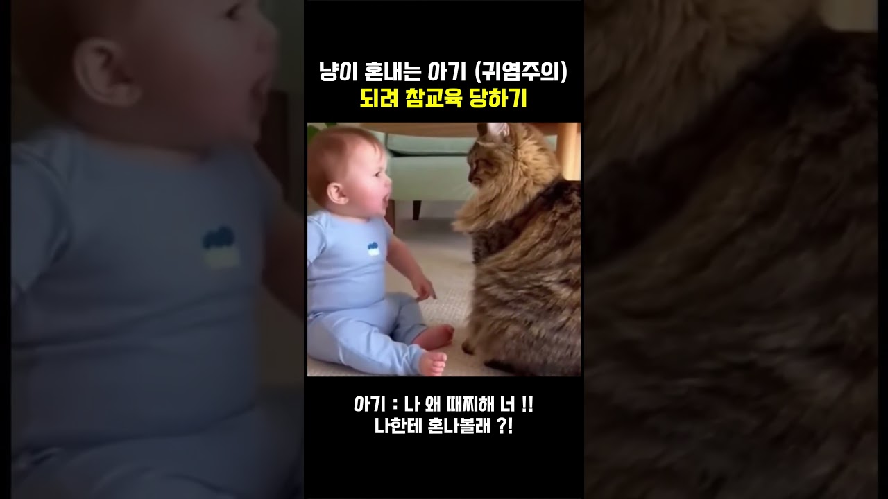 재밌게 시청부탁드려요 🫶🏻