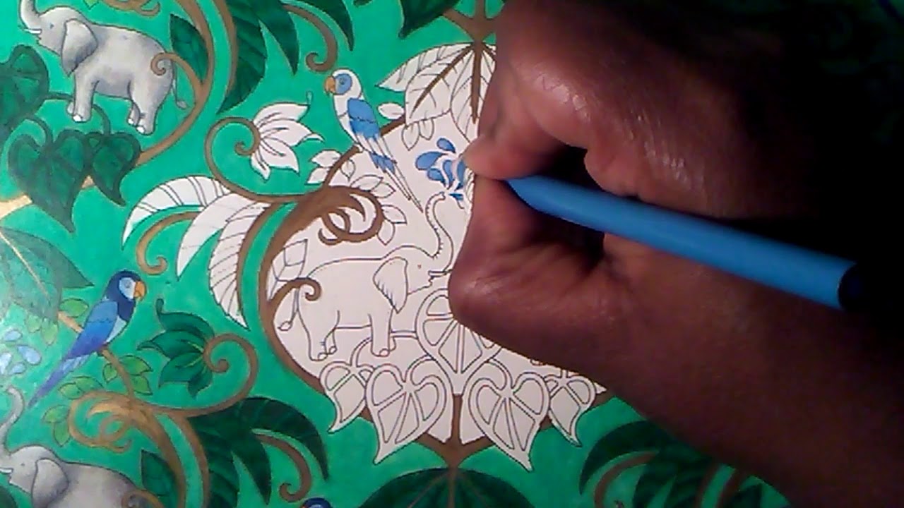 Kolor & Chat - Elephant Wallpaper from Magical Jungle by Johanna Basford Part 1