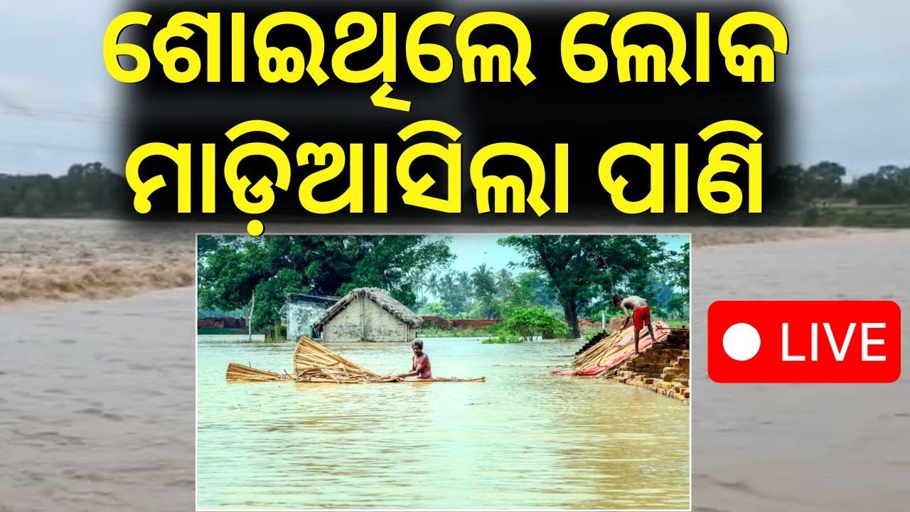 Live: ମାଡ଼ି ଆସିଲାଣି ବନ୍ୟା ପାଣି ।Odisha Rain |Flood Fear As Jalaka River Crosses Danger Mark