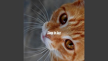 Subdued Backdrops for Ethereal Momentum