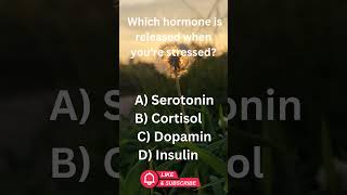 💥 This Hormone Spikes Every Time You’re Stressed! | Human Body Facts | #shorts