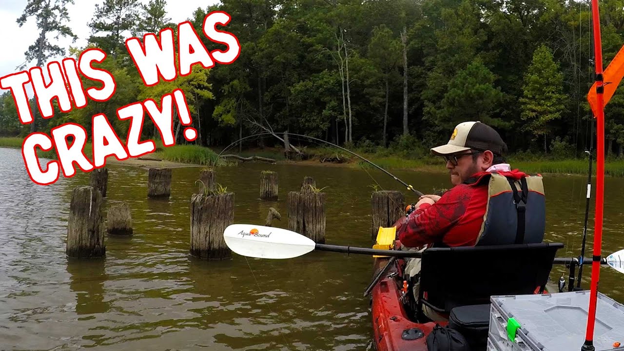 Fishing My First Kayak Bass Fishing Tournament How Did I DO?! Bass