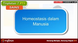 Tingkatan 1 | Sains PT3 | Homeostasis dalam Manusia