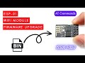 How to Upgrade ESP-01 Module Firmware and test AT Commands
