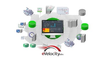 Boost MSP Efficiency with eVelocityLabs