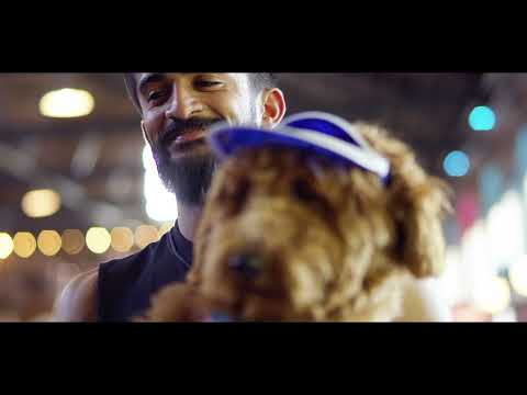 Video thumbnail: things to do in Lawrence, KS
