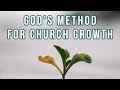 How to manage a growing Church? | Acts 6