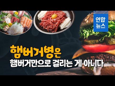 햄버거병은 햄버거만으로 걸리는 게 아니다/ 연합뉴스 (Yonhapnews)