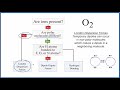 Intermolecular Forces in O2