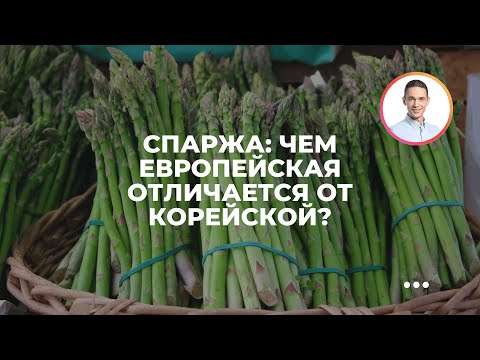 Спаржа: чем европейская отличается от корейской?