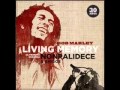 Nonpalidece - Living Memory (Album Completo)
