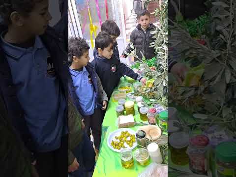 نشاط الزيتون عاليادي اليادي قاعد تحت الزيتونة