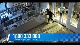 Serious Criminal Trespass and Theft - Prospect