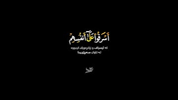 سورة الزمر - عبيدة موفق