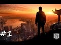 Sleeping Dogs ตอนที่ 1 : บุกเบิกตลาด