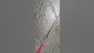 Bơm bùn đặc.. nhận san lấp mươn ruộng nạo vét liên hệ 0988893070