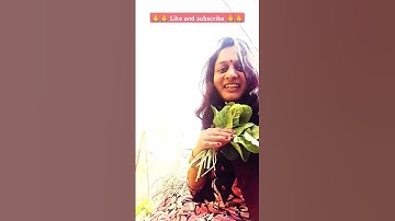 Thumbnail of ❤️❤️ Hum deewane hai Ishq karte he #trending #song #bollywood #shortvideo #shorts #youtubeshorts