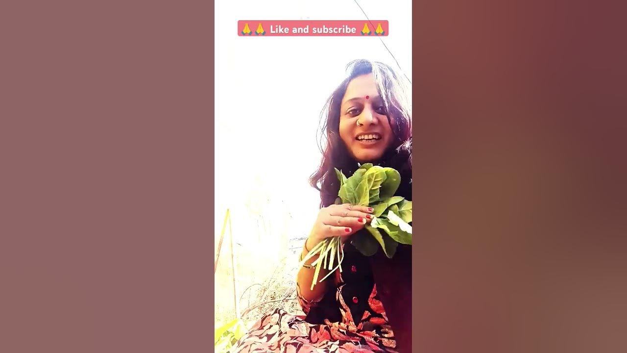 ❤️❤️ Hum deewane hai Ishq karte he #trending #song #bollywood #shortvideo #shorts #youtubeshorts ❤️❤️ Hum deewane hai Ishq karte he #trending #song #bollywood #shortvideo #shorts #youtubeshorts