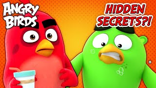 All The Secret Moments You Might Have Missed In Angry Birds!