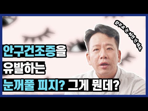 눈에도 피지가 낀다!? 🧐 눈꺼풀 기름샘의 모든 것