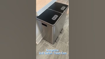 Amazon Review- Dual Trash Can